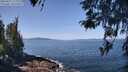 ./images/koeye/fitz-hugh/20260422/fitz-hugh20260422_113001M.jpg