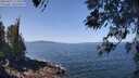 ./images/koeye/fitz-hugh/20260422/fitz-hugh20260422_115501M.jpg