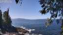 ./images/koeye/fitz-hugh/20260422/fitz-hugh20260422_130501M.jpg
