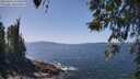 ./images/koeye/fitz-hugh/20260422/fitz-hugh20260422_134501M.jpg