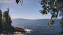 ./images/koeye/fitz-hugh/20260422/fitz-hugh20260422_140501M.jpg