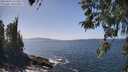 ./images/koeye/fitz-hugh/20260422/fitz-hugh20260422_141501M.jpg