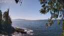 ./images/koeye/fitz-hugh/20260422/fitz-hugh20260422_142501M.jpg