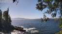 ./images/koeye/fitz-hugh/20260422/fitz-hugh20260422_143001M.jpg