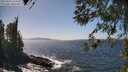 ./images/koeye/fitz-hugh/20260422/fitz-hugh20260422_143501M.jpg