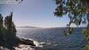 ./images/koeye/fitz-hugh/20260422/fitz-hugh20260422_144502M.jpg