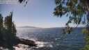 ./images/koeye/fitz-hugh/20260422/fitz-hugh20260422_145002M.jpg
