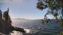 ./images/koeye/fitz-hugh/20260422/fitz-hugh20260422_145501M.jpg