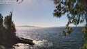 ./images/koeye/fitz-hugh/20260422/fitz-hugh20260422_151001M.jpg