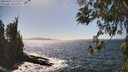 ./images/koeye/fitz-hugh/20260422/fitz-hugh20260422_152502M.jpg
