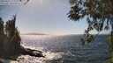./images/koeye/fitz-hugh/20260422/fitz-hugh20260422_153001M.jpg