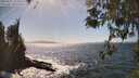 ./images/koeye/fitz-hugh/20260422/fitz-hugh20260422_153501M.jpg