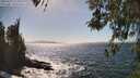 ./images/koeye/fitz-hugh/20260422/fitz-hugh20260422_154001M.jpg