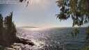 ./images/koeye/fitz-hugh/20260422/fitz-hugh20260422_160501M.jpg