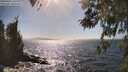 ./images/koeye/fitz-hugh/20260422/fitz-hugh20260422_161501M.jpg