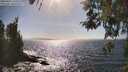 ./images/koeye/fitz-hugh/20260422/fitz-hugh20260422_162502M.jpg