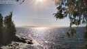 ./images/koeye/fitz-hugh/20260422/fitz-hugh20260422_163501M.jpg