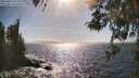 ./images/koeye/fitz-hugh/20260422/fitz-hugh20260422_164001M.jpg