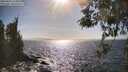 ./images/koeye/fitz-hugh/20260422/fitz-hugh20260422_164501M.jpg