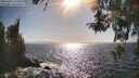 ./images/koeye/fitz-hugh/20260422/fitz-hugh20260422_170501M.jpg