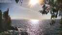 ./images/koeye/fitz-hugh/20260422/fitz-hugh20260422_172001M.jpg