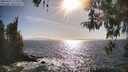 ./images/koeye/fitz-hugh/20260422/fitz-hugh20260422_172501M.jpg