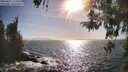 ./images/koeye/fitz-hugh/20260422/fitz-hugh20260422_173501M.jpg