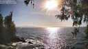 ./images/koeye/fitz-hugh/20260422/fitz-hugh20260422_174001M.jpg