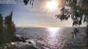 ./images/koeye/fitz-hugh/20260422/fitz-hugh20260422_174501M.jpg
