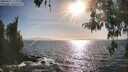 ./images/koeye/fitz-hugh/20260422/fitz-hugh20260422_175002M.jpg