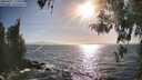 ./images/koeye/fitz-hugh/20260422/fitz-hugh20260422_175501M.jpg