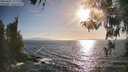 ./images/koeye/fitz-hugh/20260422/fitz-hugh20260422_182001M.jpg
