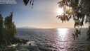 ./images/koeye/fitz-hugh/20260422/fitz-hugh20260422_183001M.jpg
