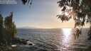 ./images/koeye/fitz-hugh/20260422/fitz-hugh20260422_185001M.jpg