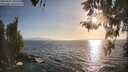 ./images/koeye/fitz-hugh/20260422/fitz-hugh20260422_185501M.jpg