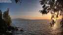 ./images/koeye/fitz-hugh/20260422/fitz-hugh20260422_200501M.jpg