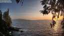 ./images/koeye/fitz-hugh/20260422/fitz-hugh20260422_201001M.jpg