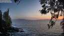./images/koeye/fitz-hugh/20260422/fitz-hugh20260422_204501M.jpg