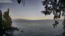 ./images/koeye/fitz-hugh/20260423/fitz-hugh20260423_071502M.jpg