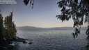 ./images/koeye/fitz-hugh/20260423/fitz-hugh20260423_074002M.jpg