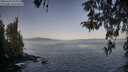 ./images/koeye/fitz-hugh/20260423/fitz-hugh20260423_075001M.jpg