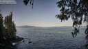 ./images/koeye/fitz-hugh/20260423/fitz-hugh20260423_075501M.jpg
