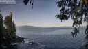 ./images/koeye/fitz-hugh/20260423/fitz-hugh20260423_081001M.jpg