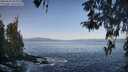 ./images/koeye/fitz-hugh/20260423/fitz-hugh20260423_083001M.jpg