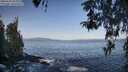 ./images/koeye/fitz-hugh/20260423/fitz-hugh20260423_084001M.jpg
