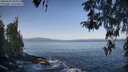 ./images/koeye/fitz-hugh/20260423/fitz-hugh20260423_084502M.jpg