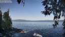 ./images/koeye/fitz-hugh/20260423/fitz-hugh20260423_085001M.jpg