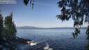 ./images/koeye/fitz-hugh/20260423/fitz-hugh20260423_085501M.jpg
