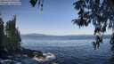 ./images/koeye/fitz-hugh/20260423/fitz-hugh20260423_090501M.jpg