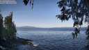 ./images/koeye/fitz-hugh/20260423/fitz-hugh20260423_091001M.jpg